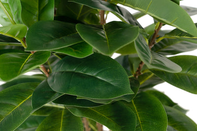 Copac artificial H65cm Ficus cyathistipula cu 63 frunze