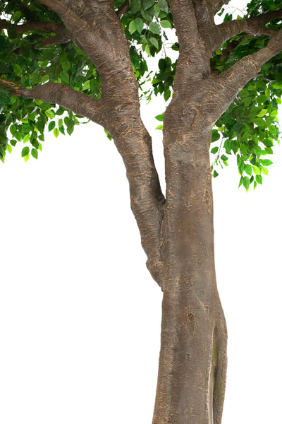 Copac artificial H700cm Ficus gigant. coroana D560-590cm