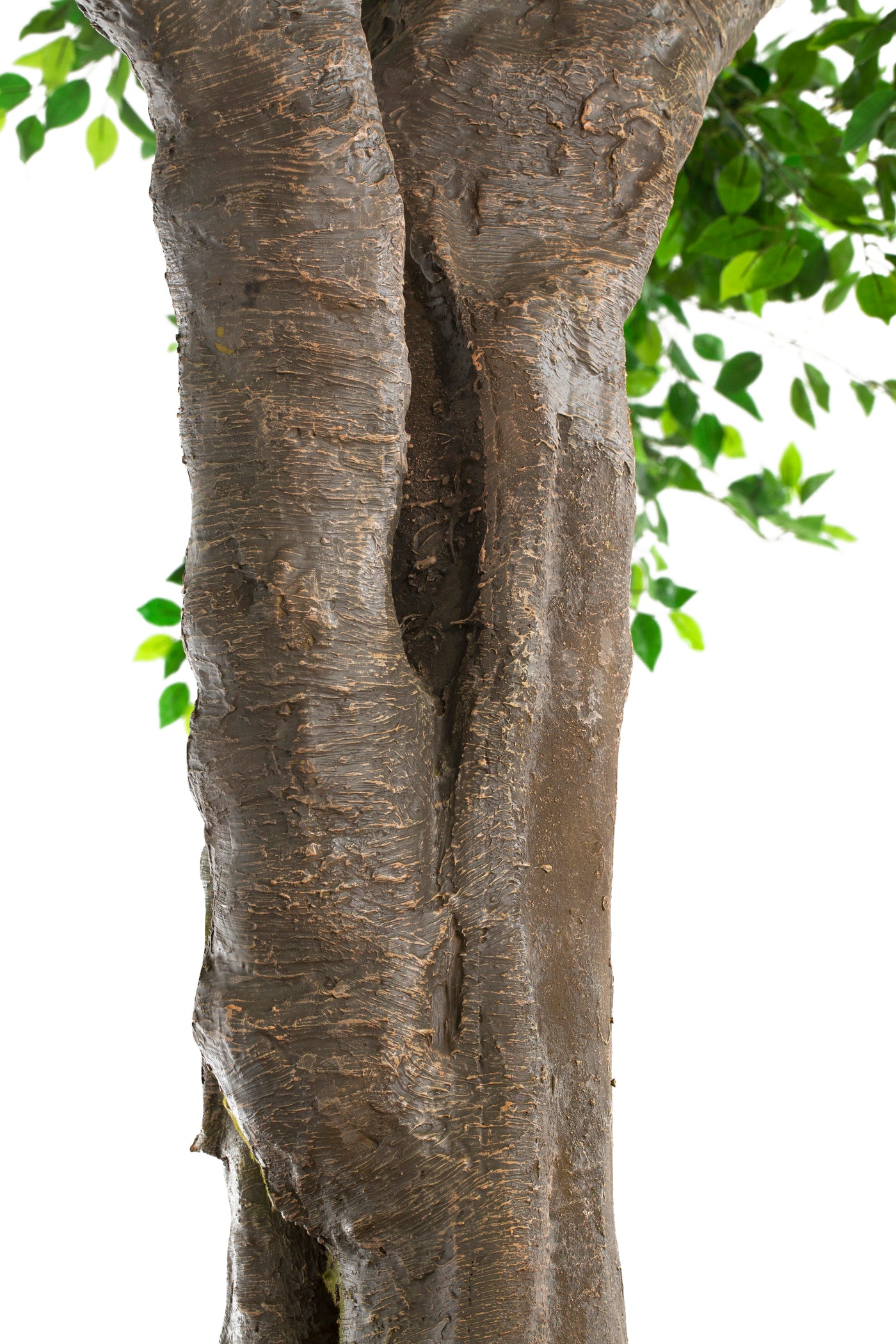 Copac artificial H700cm Ficus gigant. coroana D560-590cm