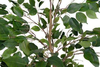 Copac artificial H90 Ficus benjamina cu 432 frunze