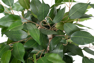 Copac artificial H90cm Ficus benjamina cu 462 frunze
