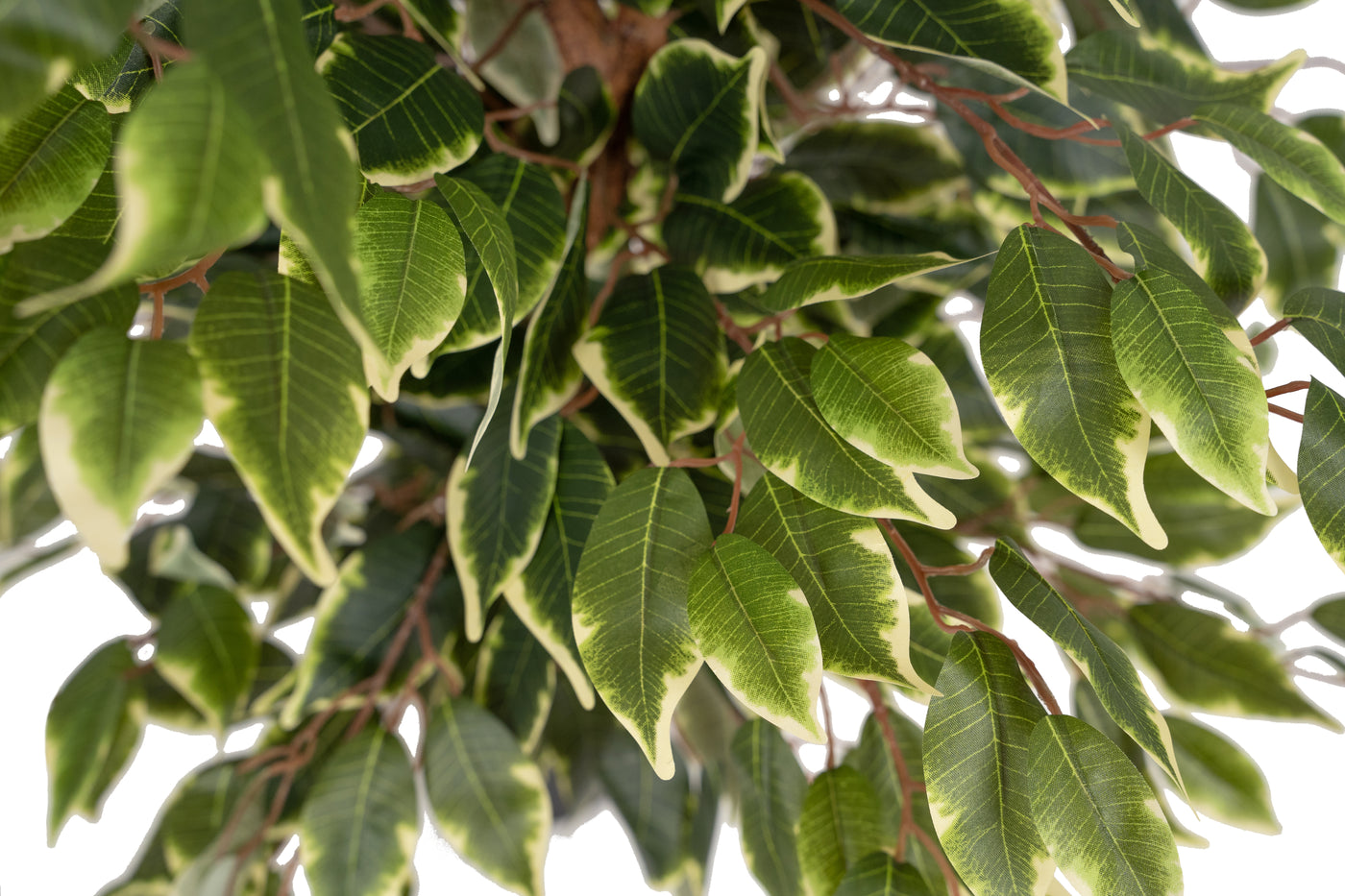 Copac artificial H90cm Ficus benjamina varigat cu 336 frunze verzi