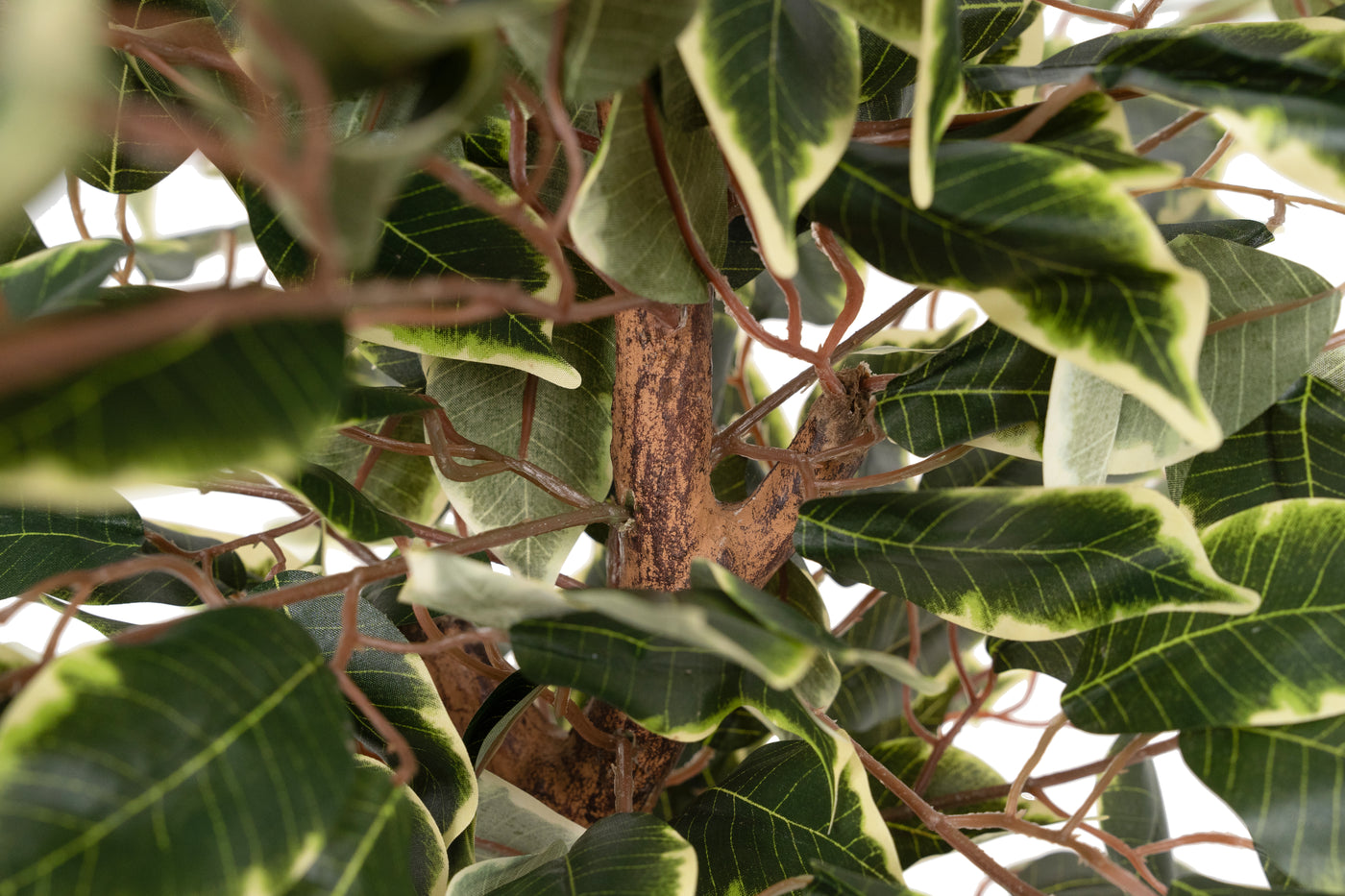 Copac artificial H90cm Ficus benjamina varigat cu 336 frunze verzi