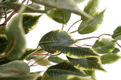 Copac artificial H90cm Ficus benjamina varigat cu 336 frunze verzi