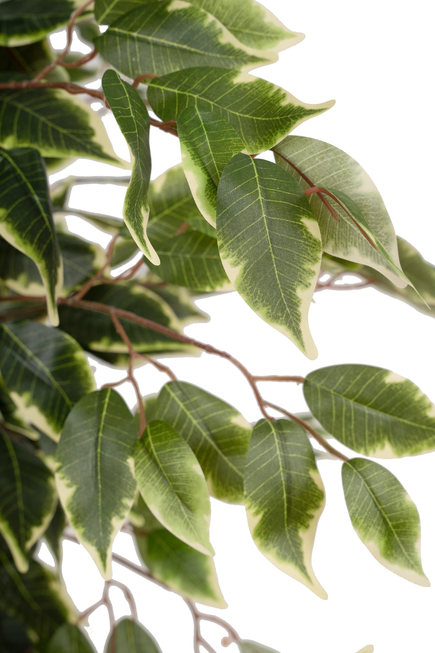 Copac artificial H90cm Ficus benjamina varigat cu 336 frunze verzi