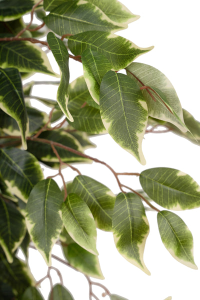 Copac artificial H90cm Ficus benjamina varigat cu 336 frunze verzi