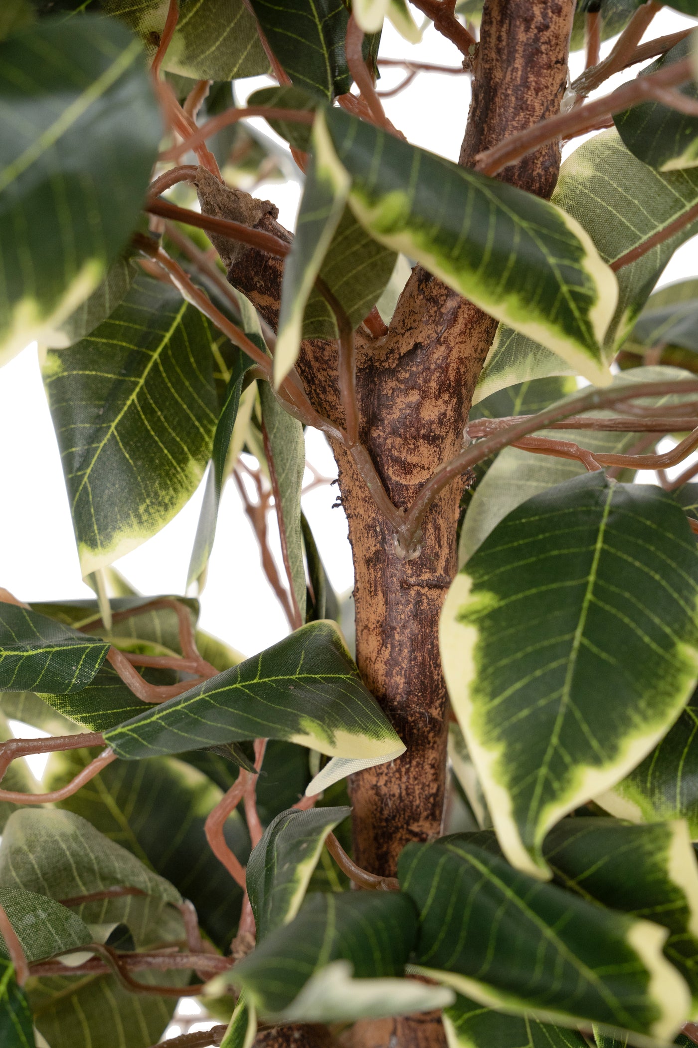 Copac artificial H90cm Ficus benjamina varigat cu 336 frunze verzi