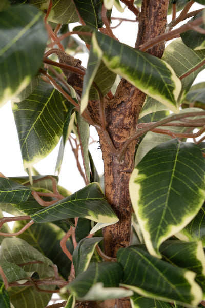 Copac artificial H90cm Ficus benjamina varigat cu 336 frunze verzi