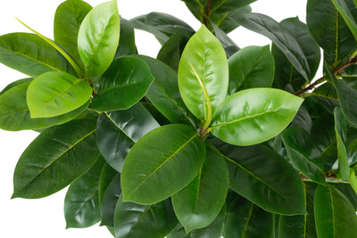 Copac artificial H90cm Ficus cyathistipula cu 125 frunze