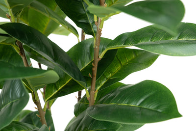 Copac artificial H90cm Ficus cyathistipula cu 125 frunze