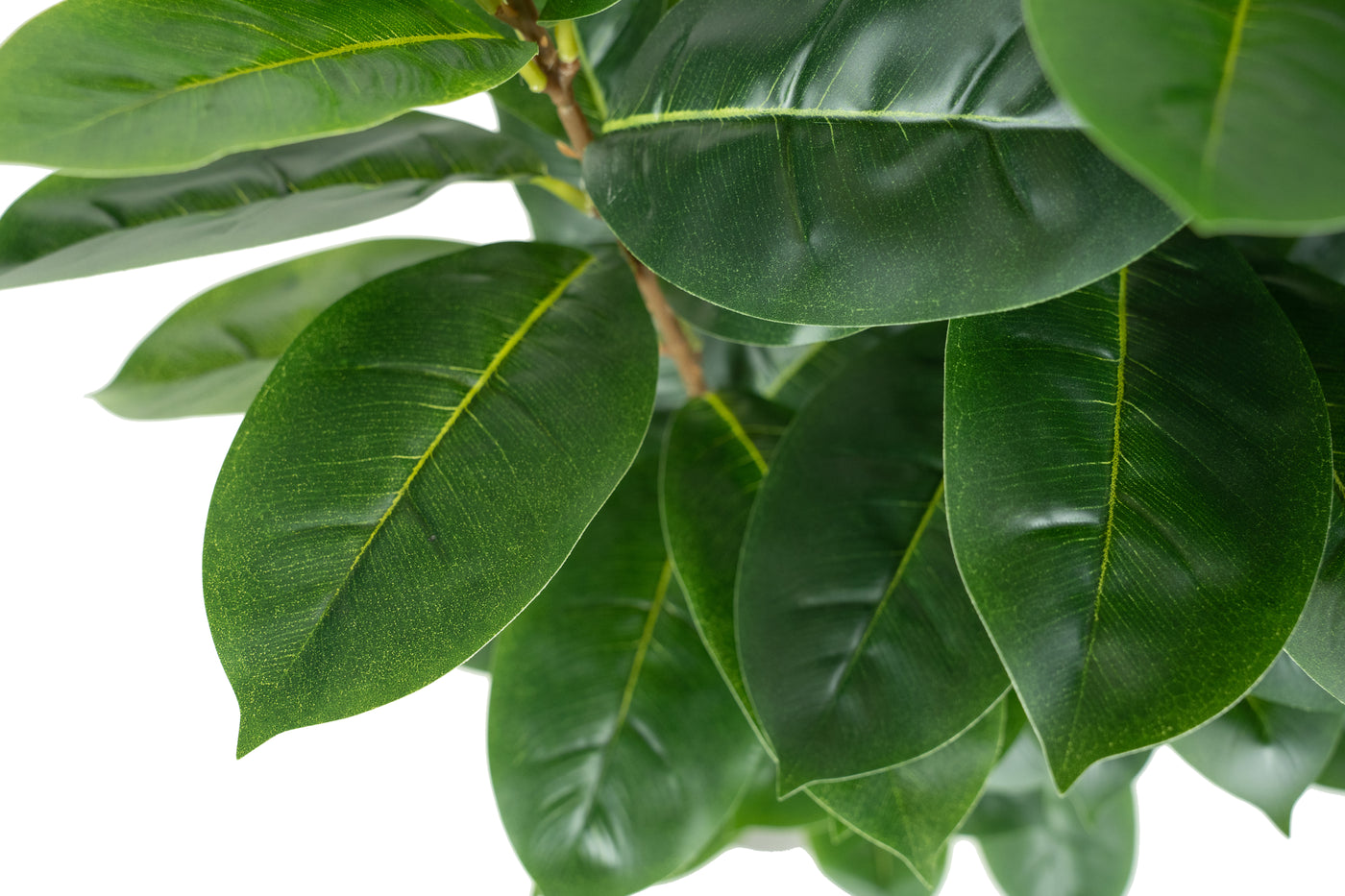 Copac artificial H90cm Ficus cyathistipula cu 125 frunze