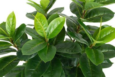 Copac artificial H90cm Ficus cyathistipula cu 125 frunze