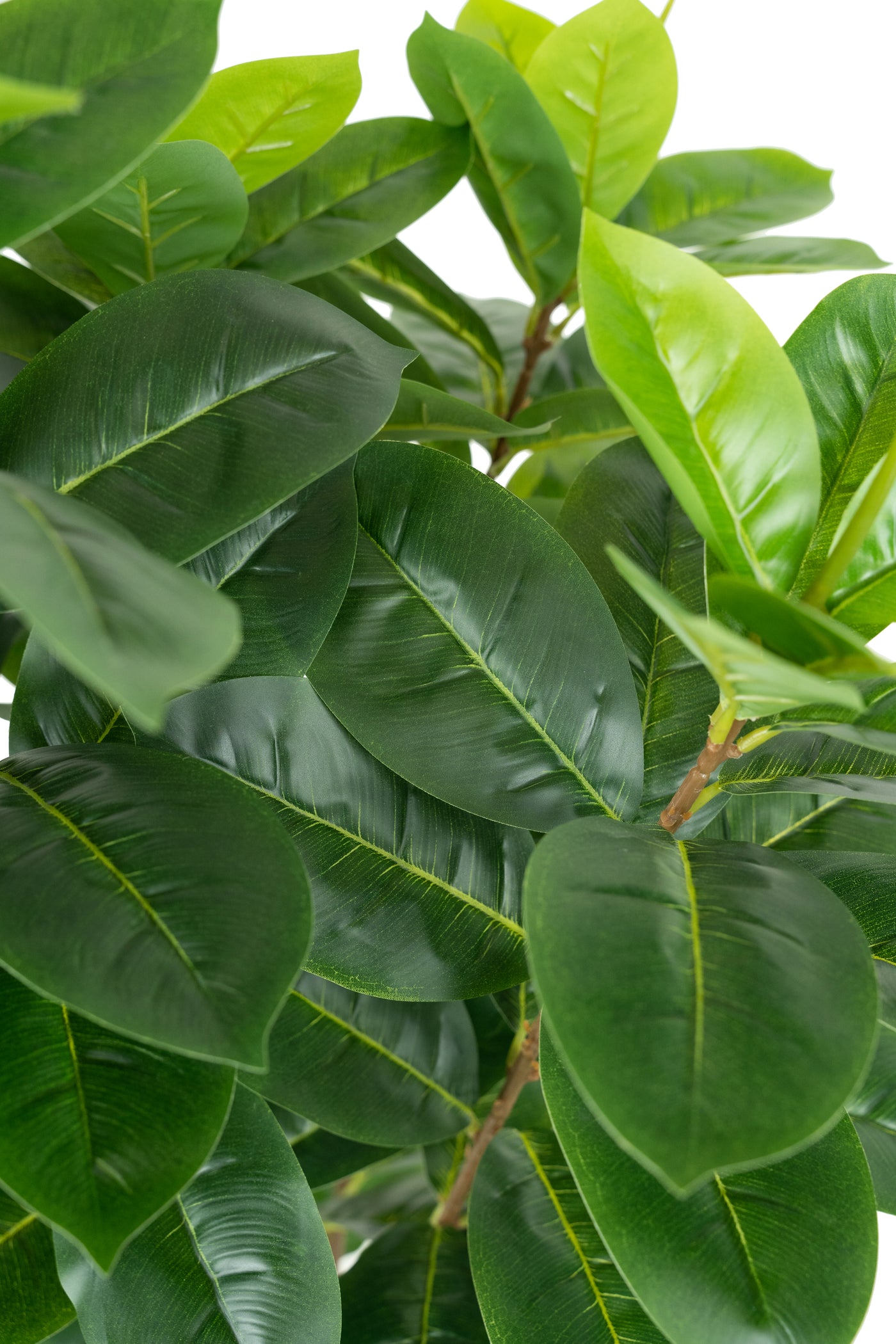 Copac artificial H90cm Ficus cyathistipula cu 125 frunze