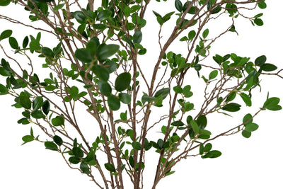 Copac artificial H90cm Ficus moclame cu 1080 frunze