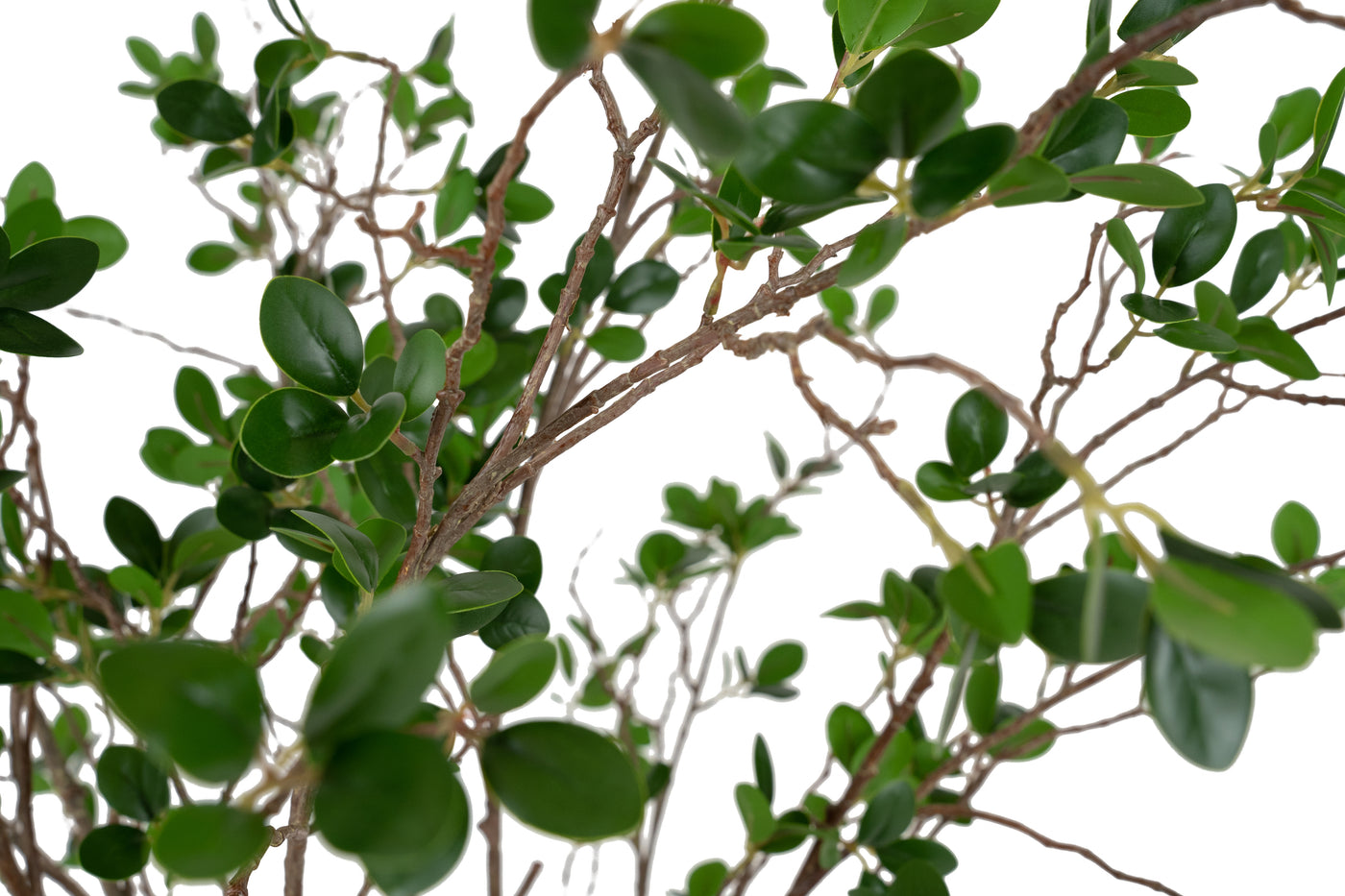 Copac artificial H90cm Ficus moclame cu 1080 frunze