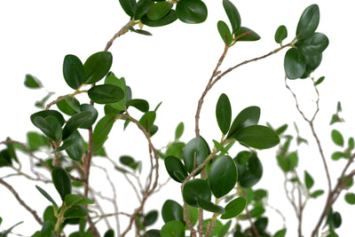 Copac artificial H90cm Ficus moclame cu 1080 frunze