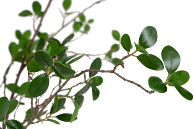 Copac artificial H90cm Ficus moclame cu 1080 frunze