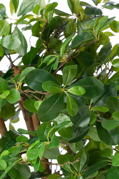 Copac artificial H90cm Ficus orient cu 1260 frunze