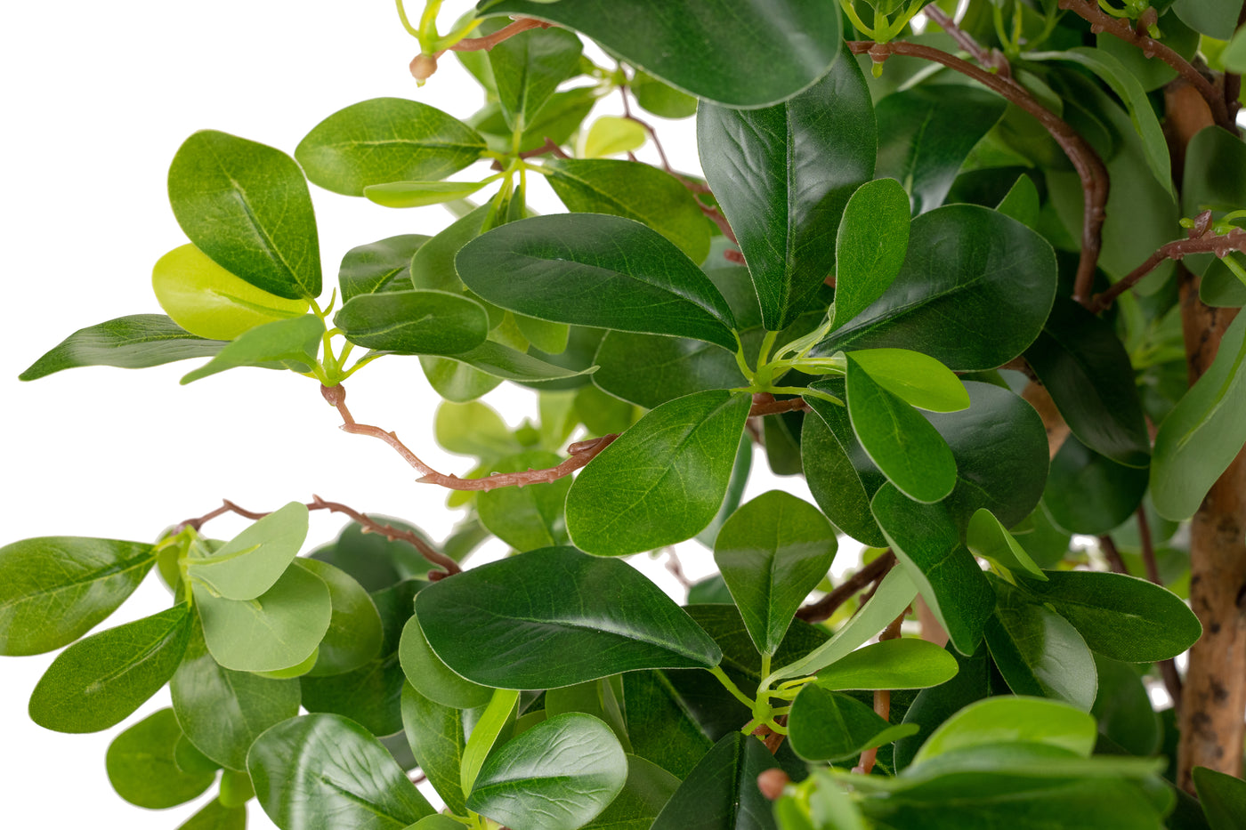 Copac artificial H90cm Ficus orient cu 1260 frunze