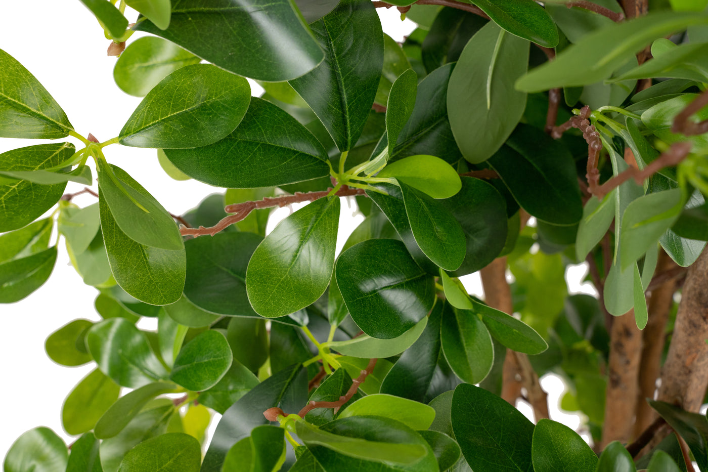 Copac artificial H90cm Ficus orient cu 1260 frunze