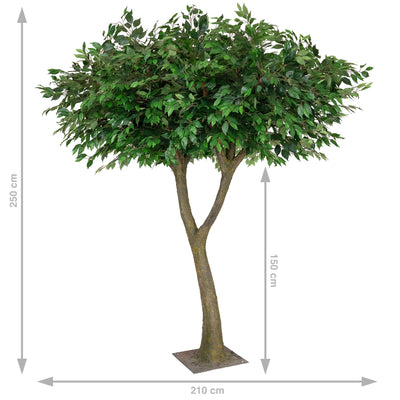 Copac artificial H250cm Ficus gigant cu 2 ramificatii, coroana D210cm