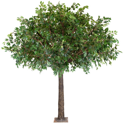 Copac artificial H320cm Ficus gigant, coroana D240cm XL