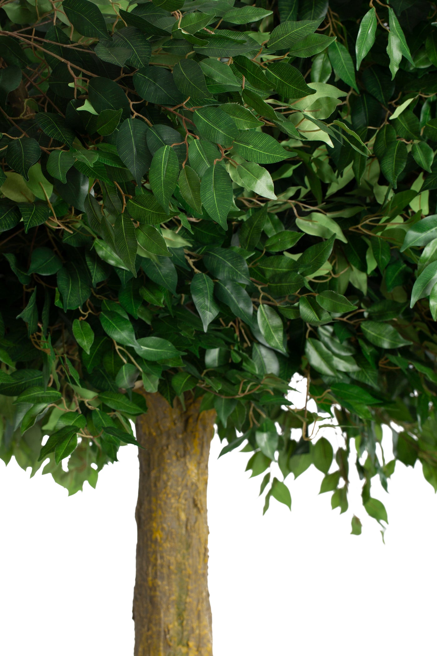 Copac Ficus artificial Gigant D320xH320 cm
