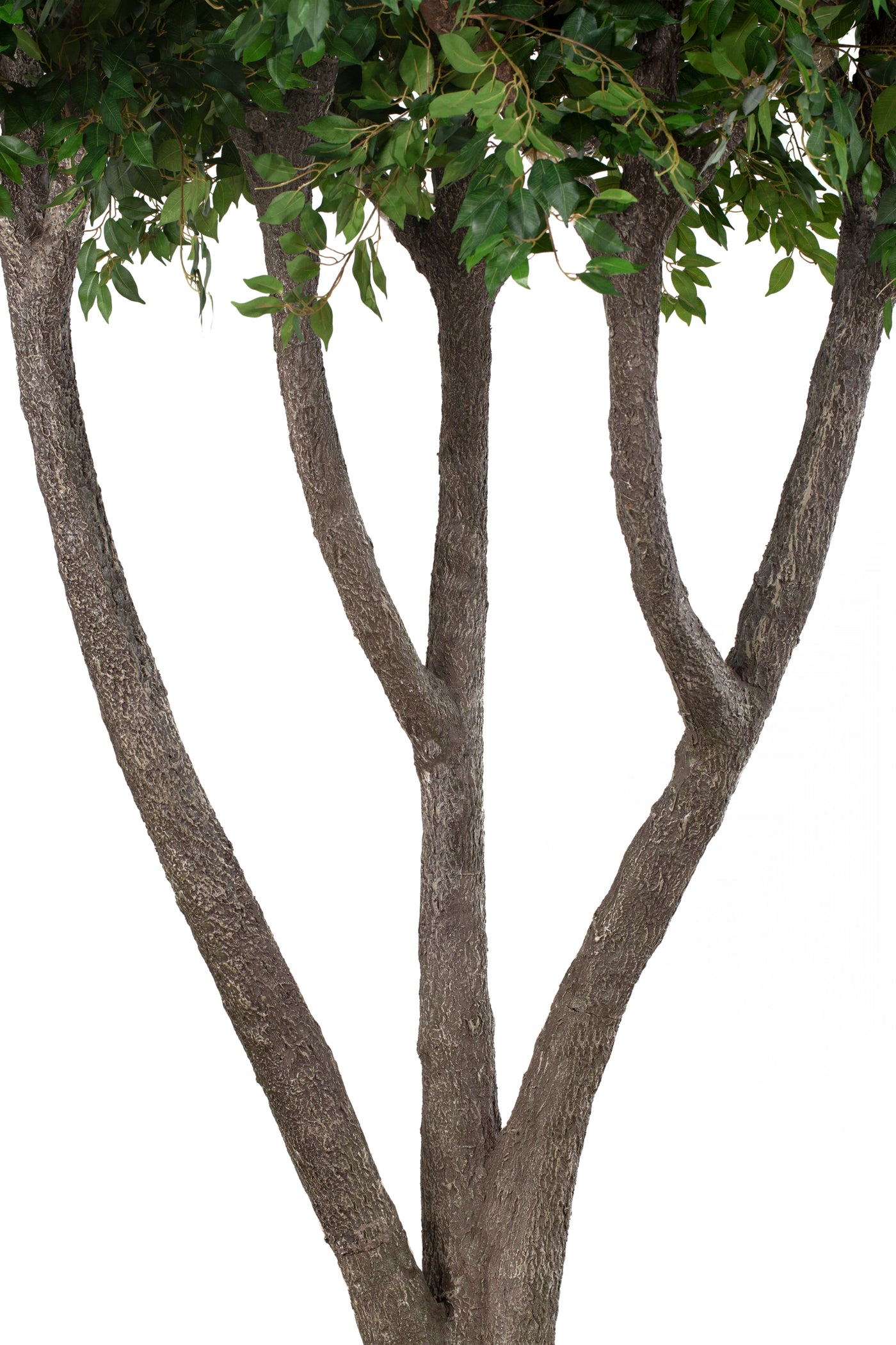 Copac Ficus artificial Gigant D320xH320 cm
