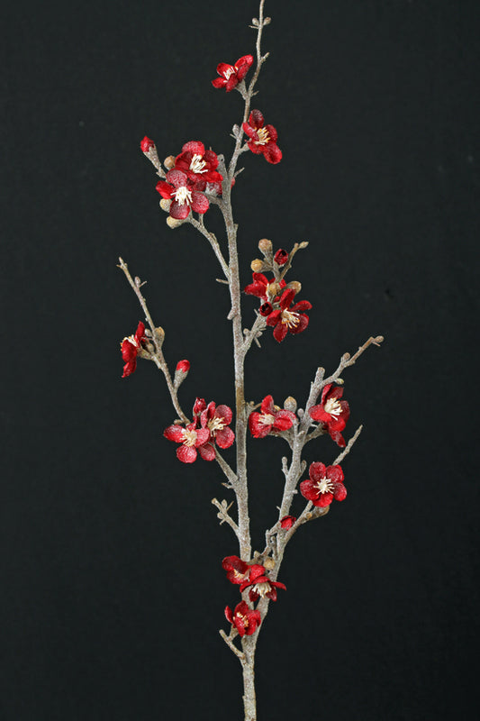 Creanga decorativa Creanga decorativa Crenguta decorativa cu flori Quince 91 cm rosu