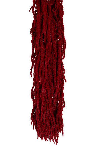 Crenguta conservata de Amaranthus H40-70 cm. burgundy