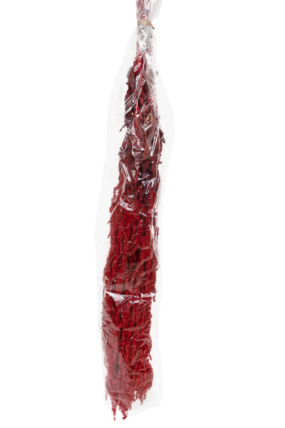 Crenguta conservata de Amaranthus H40-70 cm. burgundy