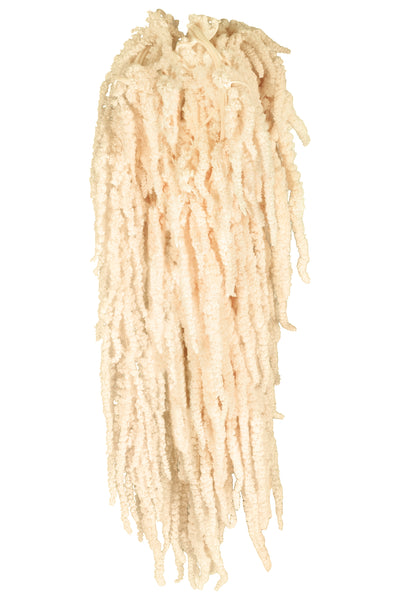 Crenguta conservata de Amaranthus H70-80 cm crem inchis