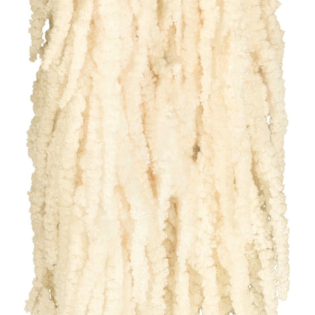 Crenguta conservata de Amaranthus H70-80 cm ivory