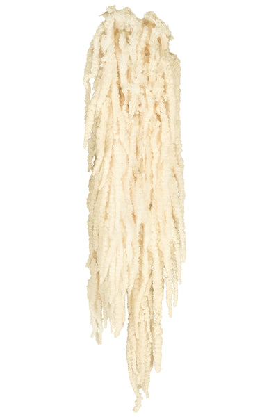 Crenguta conservata de Amaranthus H70-80 cm ivory