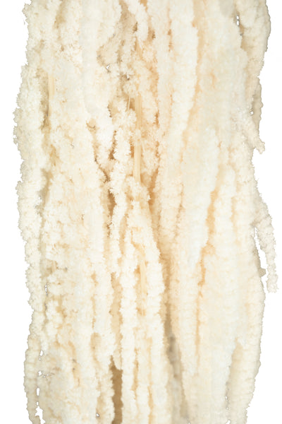 Crenguta conservata de Amaranthus H70-80 cm ivory
