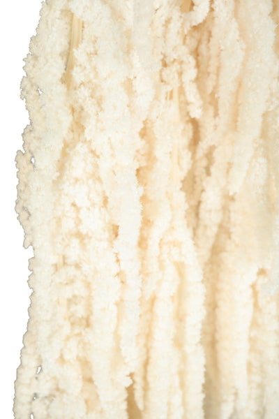 Crenguta conservata de Amaranthus H70-80 cm ivory
