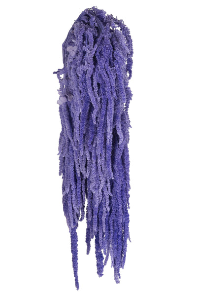 Crenguta conservata de Amaranthus H70-80 cm. mov