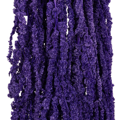 Crenguta conservata de Amaranthus H70-80 cm mov inchis