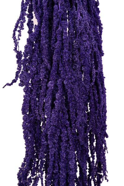 Crenguta conservata de Amaranthus H70-80 cm mov inchis