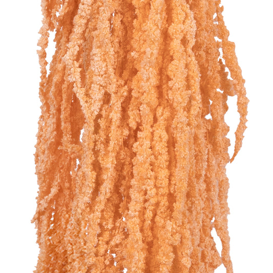 Crenguta conservata de Amaranthus H70-80 cm piersica