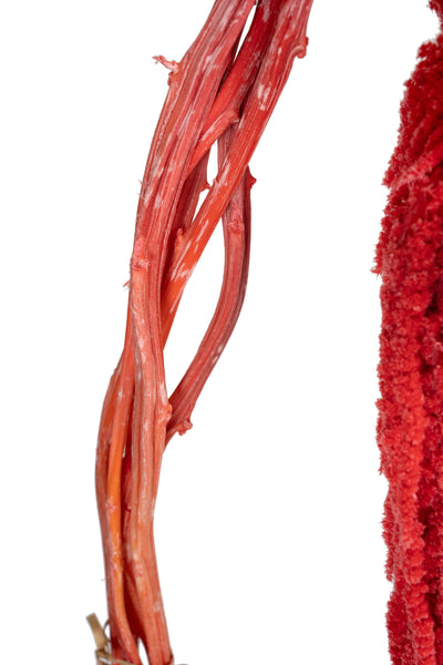 Crenguta conservata de Amaranthus H70-80 cm. rosu inchis