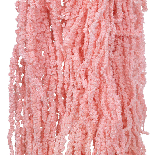 Crenguta conservata de Amaranthus H70-80 cm roz deschis