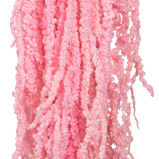 Crenguta conservata de Amaranthus H70-80 cm roz inchis