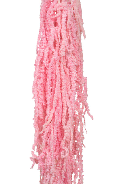 Crenguta conservata de Amaranthus H70-80 cm roz inchis