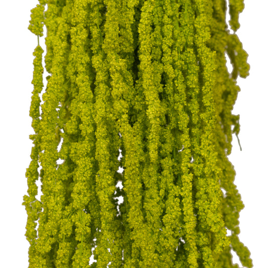 Crenguta conservata de Amaranthus H70-80 cm verde intens deschis RR33