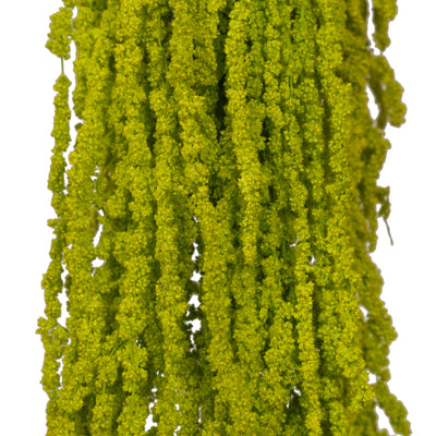 Crenguta conservata de Amaranthus H70-80 cm verde intens deschis RR33