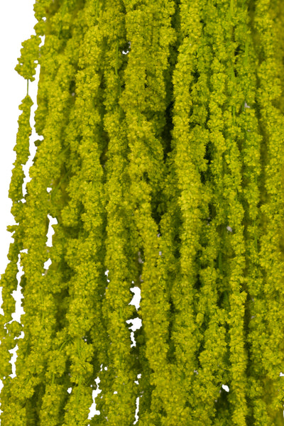 Crenguta conservata de Amaranthus H70-80 cm verde intens deschis RR33