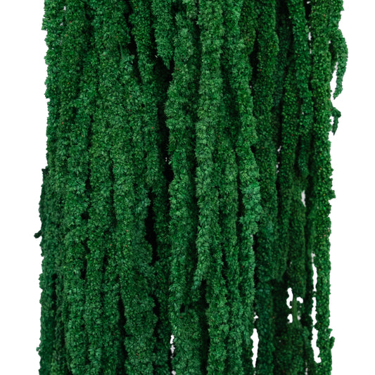 Crenguta conservata de Amaranthus H70-80 cm verde smarald deschis RR54
