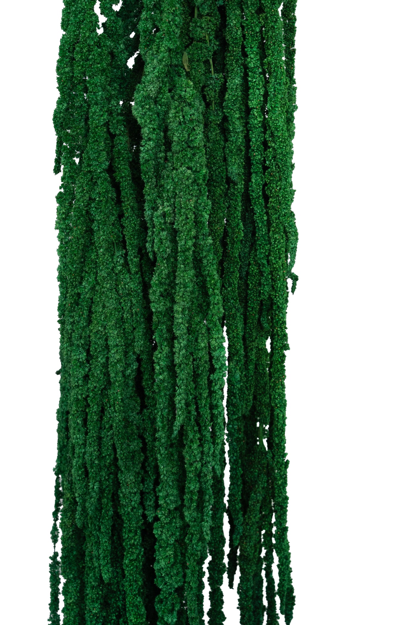 Crenguta conservata de Amaranthus H70-80 cm verde smarald deschis RR54