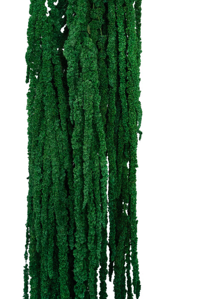 Crenguta conservata de Amaranthus H70-80 cm verde smarald deschis RR54